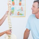 spine's connection to internal organs