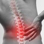 anatomy of the spine