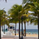 A sunny beachfront in Florida with palm trees and calm waves, showcasing the serene environment of a chiropractic clinic nestled in a tropical setting