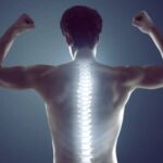 Spine Connects Entire Body