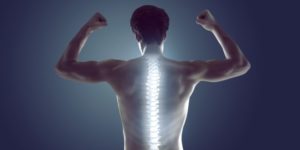 How Your Spine Connects to Your Entire Body