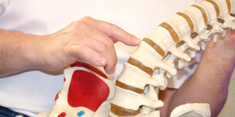 Chiropractor demonstrating spinal discs to patient using replica of spine