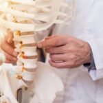 Man in white lab coat points to vertebrae on an instructional skeleton.
