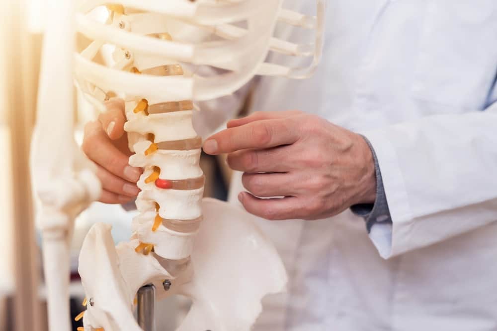 Man in white lab coat points to vertebrae on an instructional skeleton.