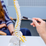 A hand holding a pen indicating a section of a spine model while a woman observes.