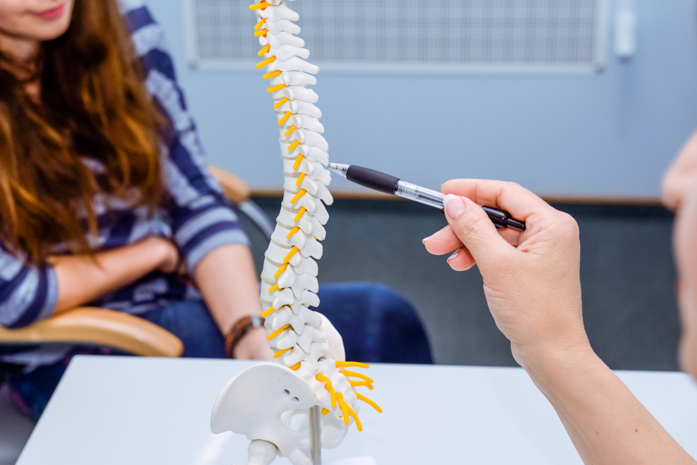 A hand holding a pen indicating a section of a spine model while a woman observes.