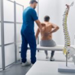 Anatomical model of spine on the table with chiropractor in the background.